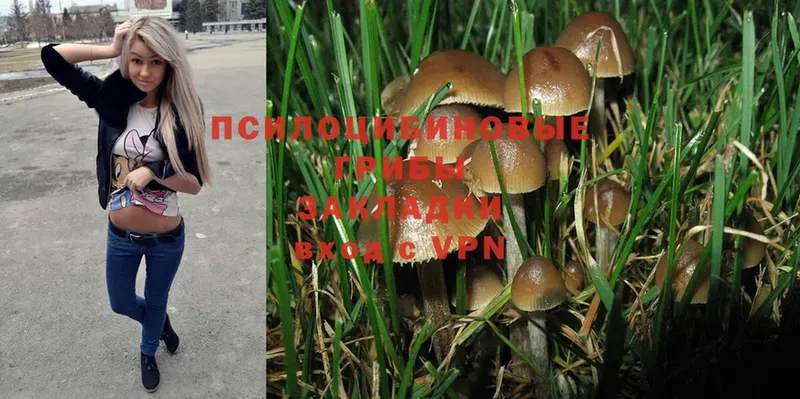 продажа наркотиков  Оханск  Галлюциногенные грибы Magic Shrooms 